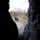 Illustration for article titled Michigans Abandoned Dinosaur Amusement Park Is Way Creepy